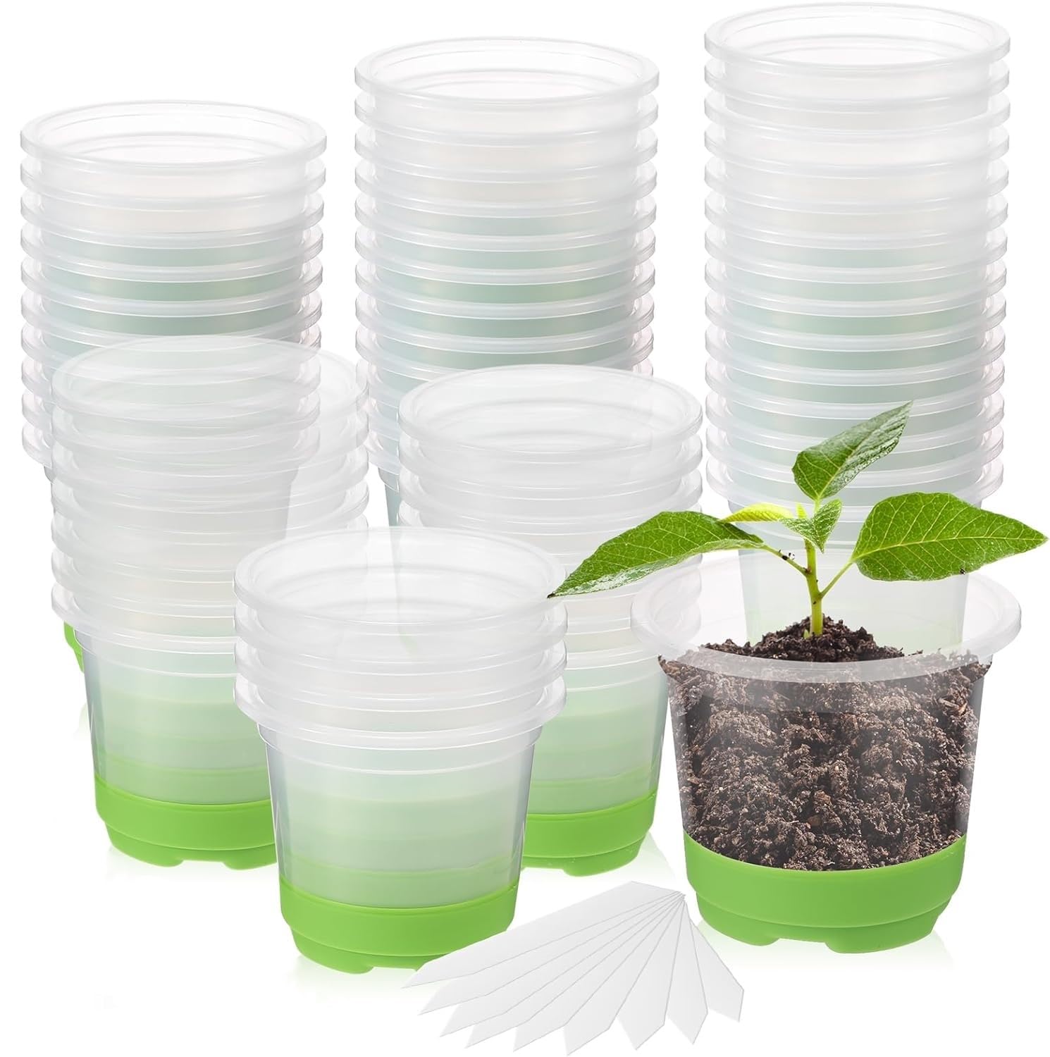 KAHEIGN 24Pcs Clear Plant Pots with Silicone Base, 10CM Round Plastic Nursery Pot Reusable Seedling Start Pots with Drain Holes and 20Pcs Plant Labels for Flower Plant Seedlings Transplanting (Green)