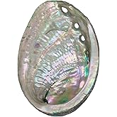 BRBASAP Large Abalone Shell Bowl Natural Smudge Bowl for Sage Burning and Incense Sea Shell Smudging Bowl for Decor and Display 4.7-5.12 Inch