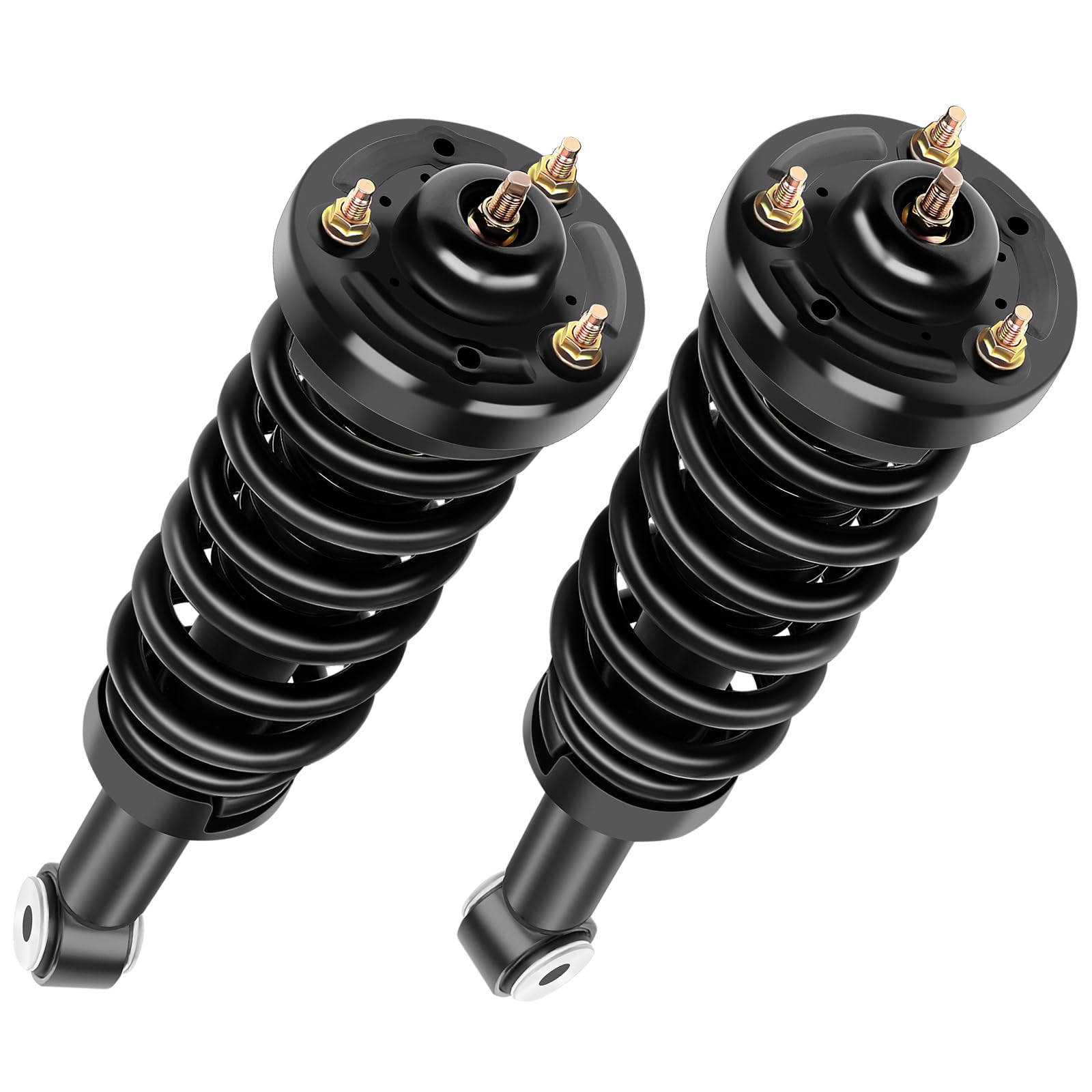 ASAPE Complete Struts Front A Pair Fit for 2011-2013 for Ford F-150 3 ...