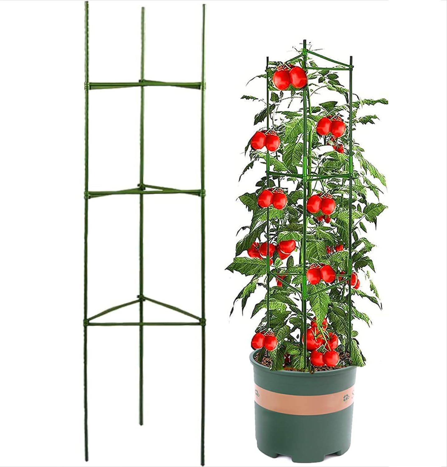 Kakveiai Garden Tomato Plant Support, Plant Cages Support Frame Trellis, Green Plastic Coated Metal Stakes Climbing Vines Plant, for Flowers Fruit Vegetables Grow (One Group)