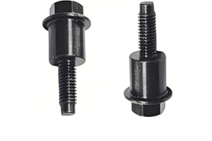 BLOLACDZ （2Pcs）Timing Chain Guide Bolt Stainless Steel Fit for Saab 9-3 2003 to 2012, Saab 9-5 2010 to 2011,2.4 ecotec, Opel 2.2, Chevy Replacement for 11588522, Timing Chain Guide Screw