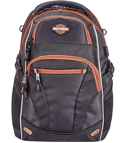 Amazon.com | Harley-Davidson Mini Me Backpack. Black 99668