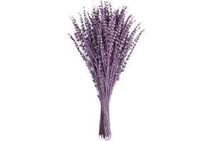 Uieke Dried Lavender Flowers Bundles, 16" Dried Purple Preserved Lavender Bouquet for Shower Weeding Home Fragrance Vase Crafts Decor, 50g (1.76oz)