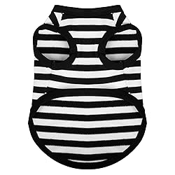Paiaite Dog Striped Shirt Happy Color Cotton
