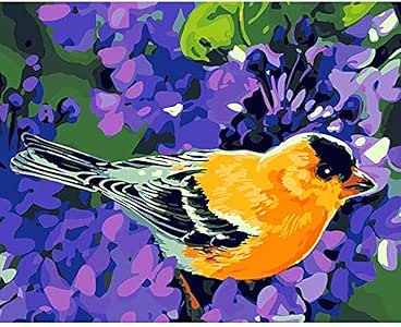 Watercolor Bird Paint By Numbers Kit Canvas With Brushes And Paints For