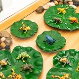 FFWHKON 22Pcs Lily Pad and Plastic Frog Set 12 Frogs 10 Lotus Leaves for Pond view 9