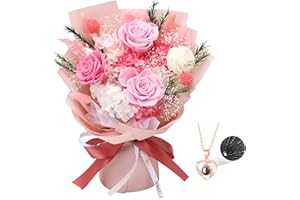Casaido Preserved Flowers for Delivery, Pink Flower Bouquets with Necklace, Forever Real Roses Anniversary Birthday Gifts for Women Mom Wife Girlfriend, Fresh Flowers for Valentines Day Christmas