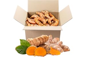 1 lb US Grown (Not from FIJI) Turmeric Root Box (Organic & Fresh), Proud To Support American Farmers & Beekeepers | Turmeric Zone