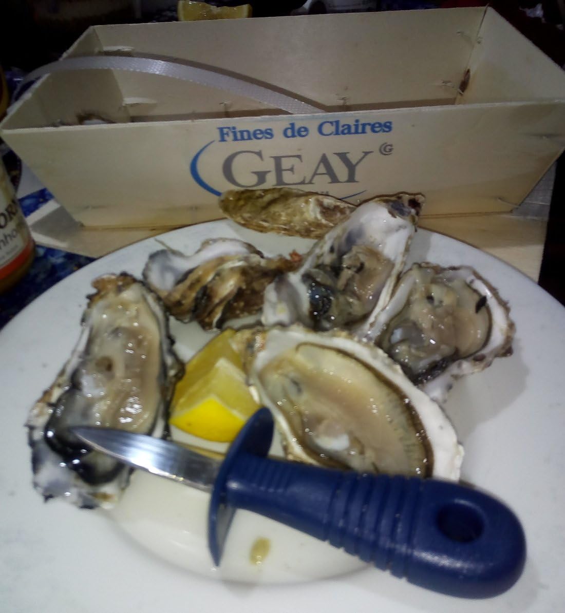 Oyster opener knife lancet in stainless steel 14,5 cm top quality