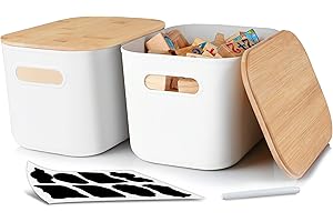 ITYLIFE CITYLIFE Citylife 2 PCS Storage Bins with Lids Plastic Storage Containers for Organizing Stackable Storage Box with Handle, 10.23 x 7.08 x 6.3 inch