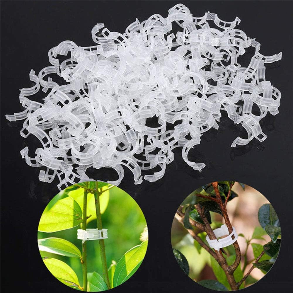 MAXGOODS - 500 Pinzas para Plantas, huerto, Tornillos, Tomates ...