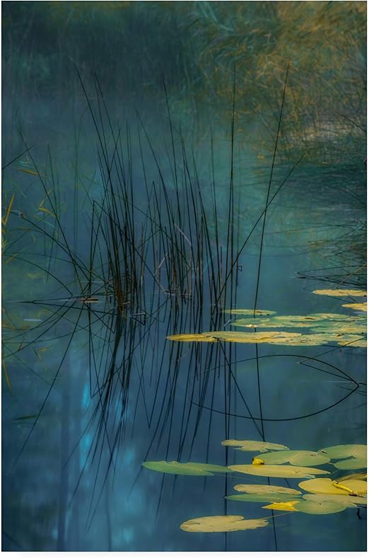 aqua lily pad amazon