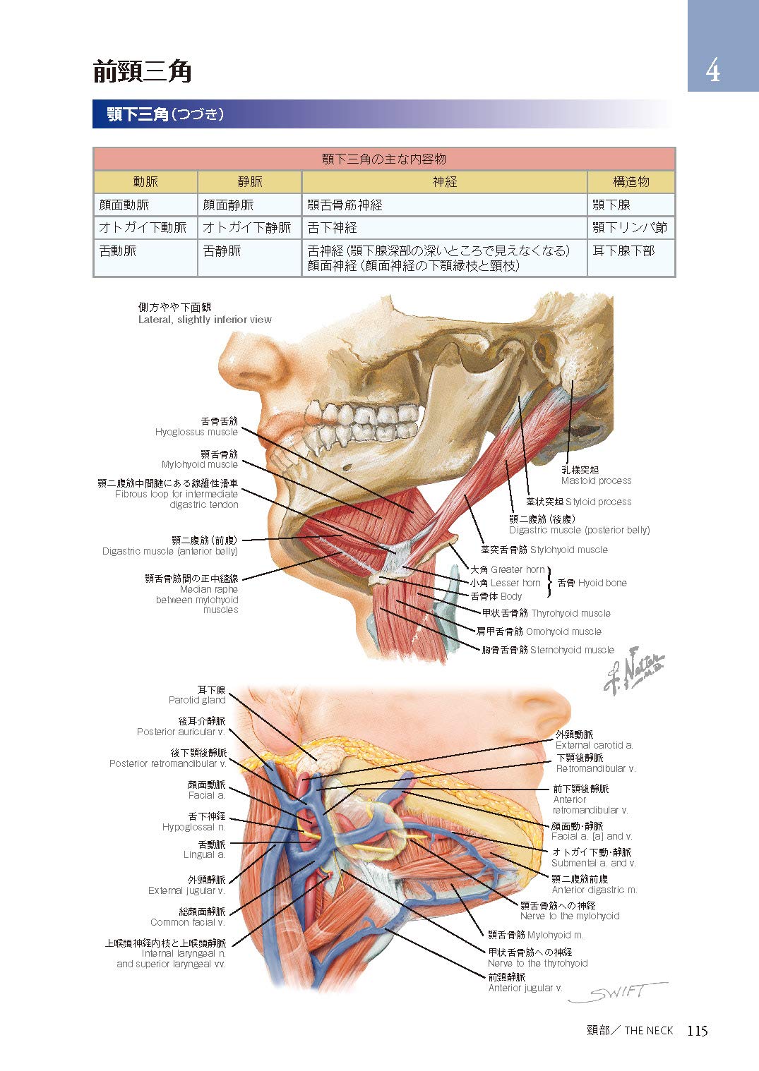 ネッター頭頸部 口腔顎顔面の臨床解剖学アトラス 原著第3版 Amazon Com Books