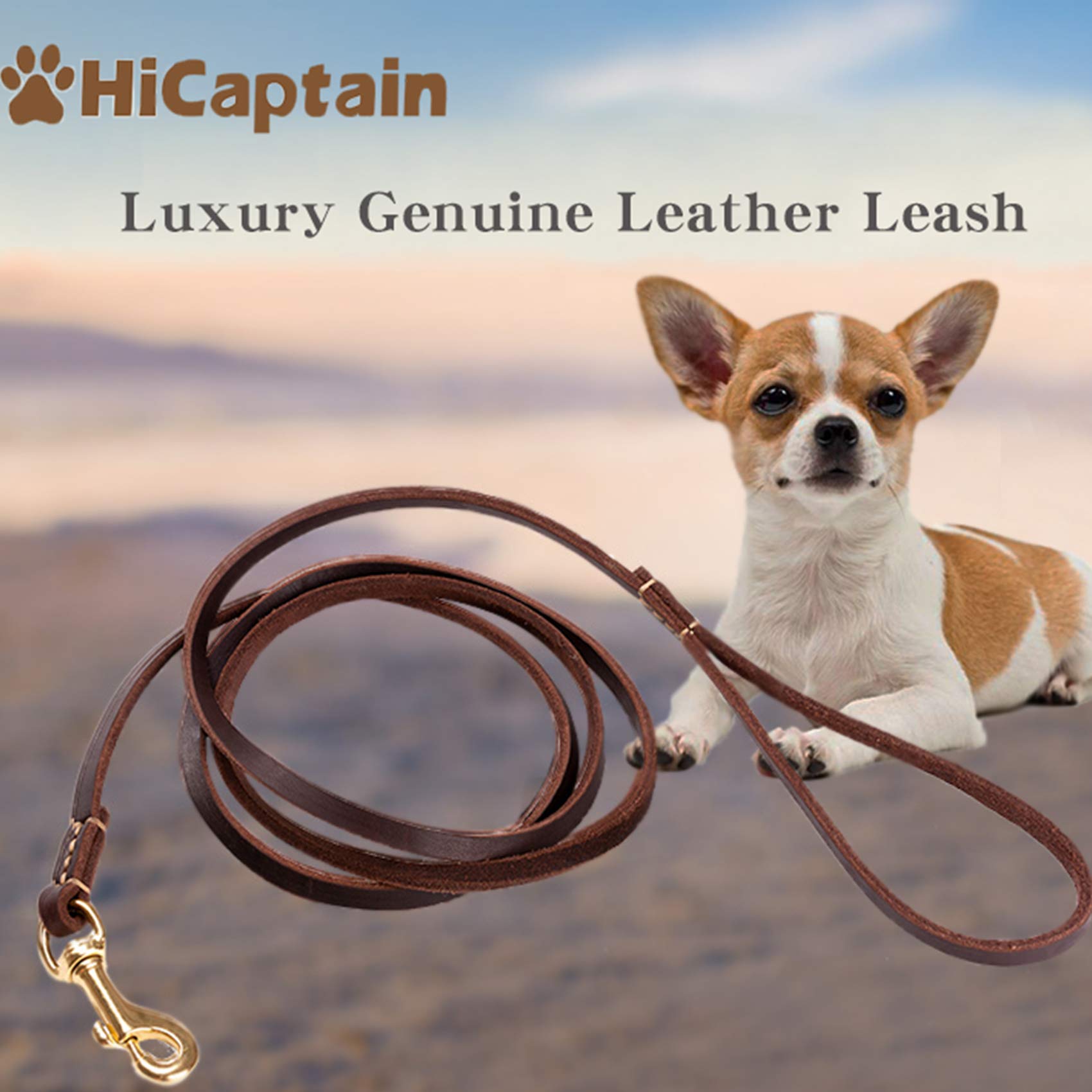 HiCaptain 1/4 inch x 6 feet Thin Leather Pet Leash, Durable Dog Leashes Suit for Small Dog Up to 15 lb