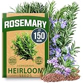 HOME GROWN Rosemary Seeds, 150 Seeds, Salvia rosmarinus | High Germination, Heirloom, Non-GMO | 150 Seeds | Rosemary | Indoor/Outdoor | Herb Gardens | Planting