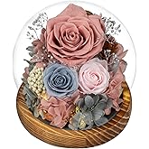 Large Preserved Flowers with Card-Flowers for Delivery Prime,Eternal Rose with Lights,Roses in Glass Dome,Romantic Gift for Her,Decoration, Fresh Rose Flowers for Mom, Birthday, Anniversary(Pink Blue)