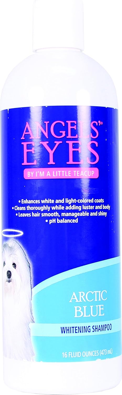 shampoo in dog's eye