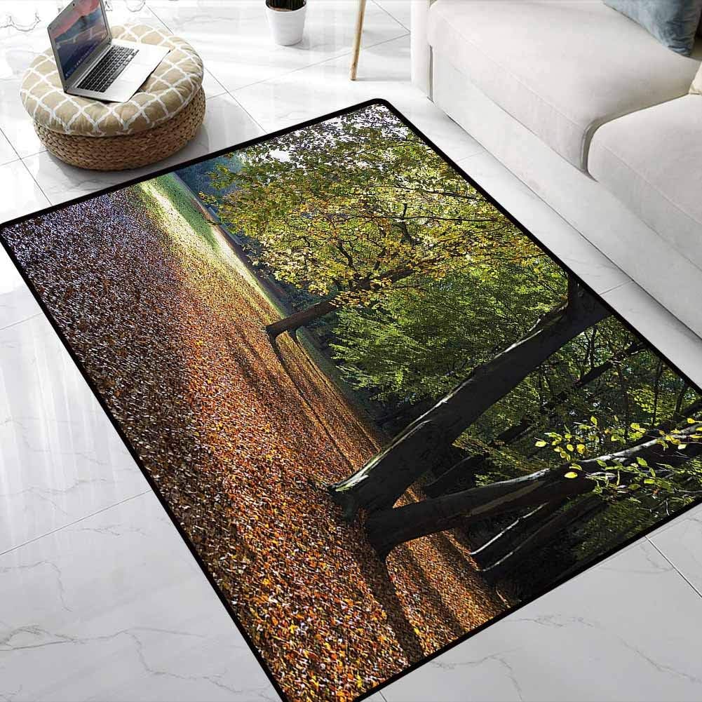 Carpet Nature,Tranquil Tiergarten Berlin Natural Fiber Area Rug for Kids Living Room Nursery Home Decor 4 x 4 Feet