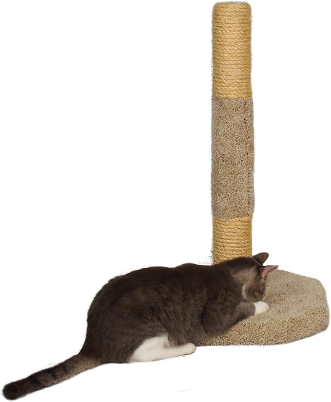 midnight molly cat scratcher