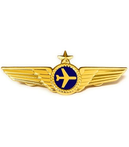 Amazon.com: Israeli army IDF SENIOR PARATROOPER WINGS BADGE Israel
