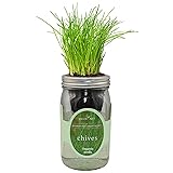 Environet Hydroponic Herb Growing