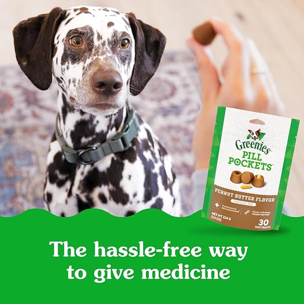 GREENIES PILL POCKETS FOR DOGS LARGE SIZE, DOG TREAT POUCH FOR CAPSULE MEDICATION, PEANUT BUTTER FLAVOR,  7.9 OZ. POUCH