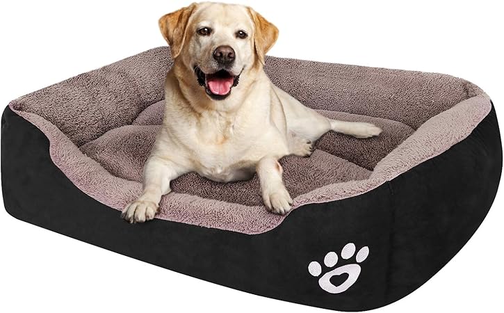 amazon xl dog bed