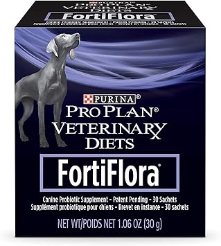 silky poo puppies for sale