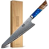 HOSHANHO Damascus Chef Knife 8 Inch, 67-Layer Damascus Super Steel Professional Kitchen Knife, Ultra Sharp Japanese Cooking Knives, Ergonomic Blue Resin Stabilized Wood Handle with Wood Gift Box