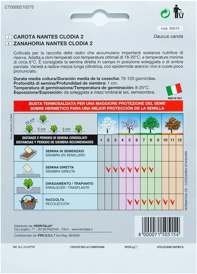 Semillas Zanahoria Nantes Temprana (7 Gramos): Amazon.es: Jardín