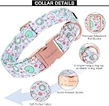 Unique Style Paws Summer Lotus Dog Collar Frog Puppy Adjustable Pet Collar view 2