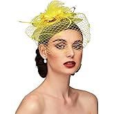 TS Fascinators Hat Tea Party Hat Mesh Floral Feather Hair Clip Women Fascinator Headband with Veil for Wedding Cocktail