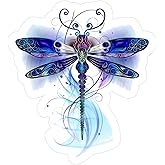 Kramer sticker's shop 3” Dragonfly Sticker for Car Vinyl Decal Window Truck Window Car Bumper Sticker Laptop Decal Motorcycle Helmet on a White Background