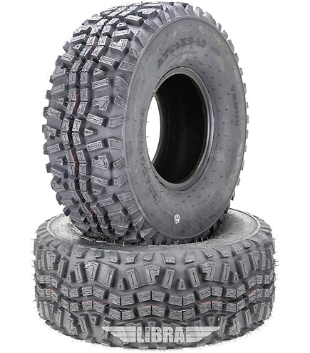 Amazon.com: WANDA Set of 2 Utility ATV tires 23x11-10 for 09