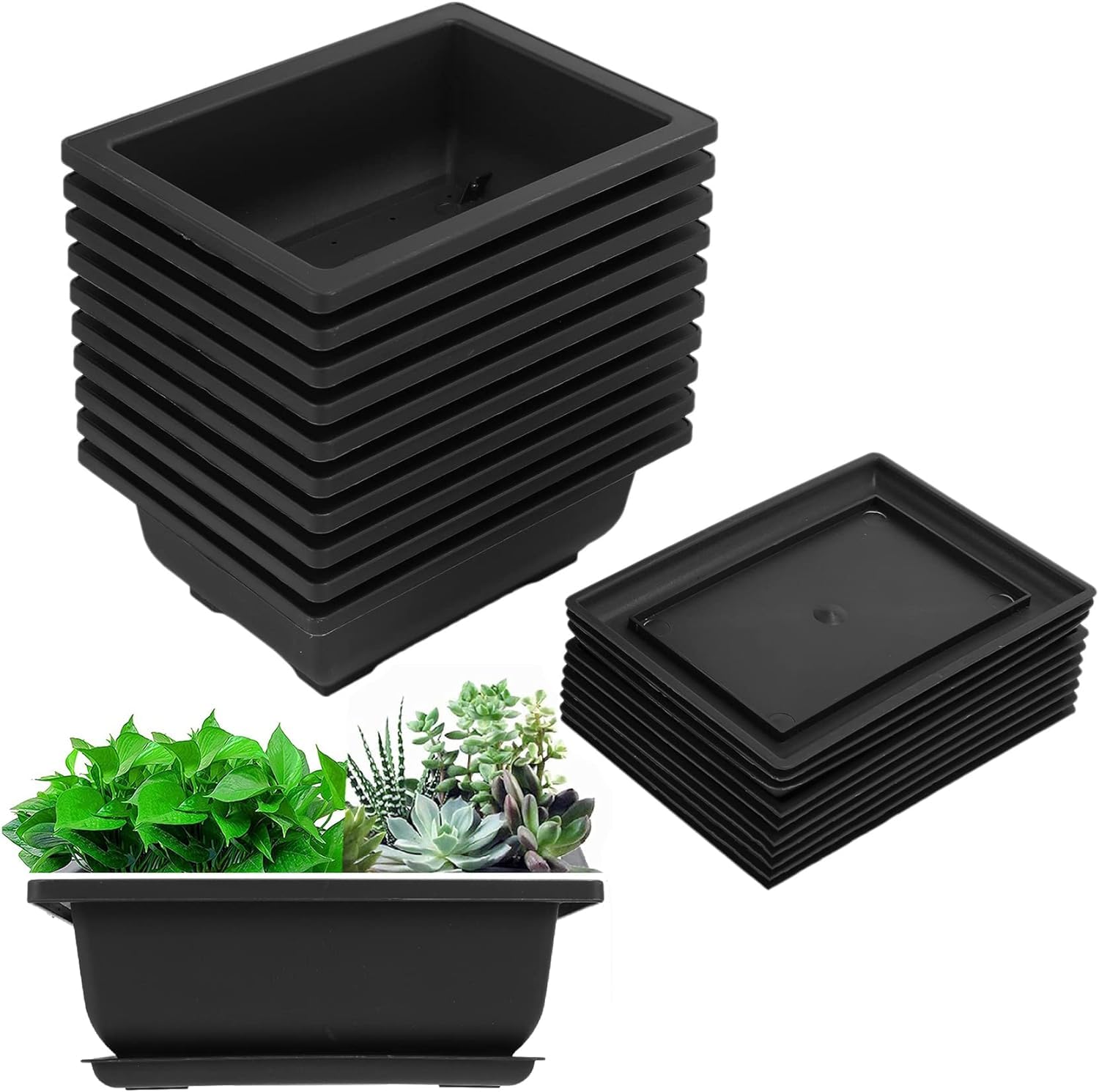 Liseng Bonsai Pots with Tray Plastic Bonsai Plants Growing Pot for Garden Yard Living Room Balcony 16.5X12cm (10 Pack)