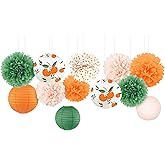 NICROHOME EUR Little Cutie Baby Shower Decorations, 12 PCS Orange Green Tissue Paper Pom Poms and Lanterns Set for Spring Summer Party Decorations, Fruit Citrus Themed Birthday Party Supplies