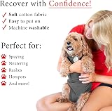 BellyGuard Dog Recovery Onesie Large Grey Cone Alternative After Surgery view 4