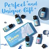 SALKING Clean Fragrance Oils Gift Set 6 Lemongrass Fresh Linen Aloe view 5