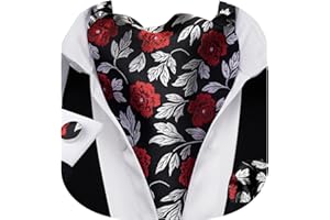 Barry.Wang Men Ascot Cravat Tie with Pocket Square Cufflinks Tie Set Paisley Jacquard Silk Woven Floral Necktie