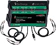 Dual Pro 6 Amp/Bank Recreation Series Triple Output Charger