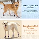 BEAUTYZOO Dog Socks Anti-Slip Paw Protectors 3 Pairs Medium view 3