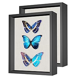2 Packs 11x14 Shadow Box Frame with Linen Back