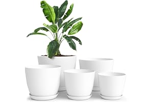 Utopia Home Pack of 5 - Plastic Plant Pots - Planters for Indoor Plants Saucer Tray - Nursery Pots Indoor with Drainage Holes