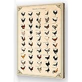 Wallpicss Chicken Poster Framed Educational Wall Art Canvas Print Breeds of Poultry Knowledge Poster Vintage Farm Animal Wall Decor Pictures 12x18 inches