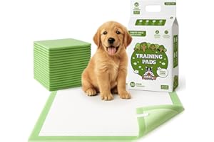 POGI'S PET SUPPLIES Pogi’s Potty Pads with Sticky Tabs – XL, Super Absorbent, Odor Blocking, 40-Count (24x35in)