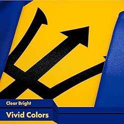 Barbados Flags 20 Pack, Handheld Barbados Flags on