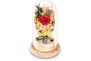 DHOEM Preserved Flowers Light Up Real Rose in Glass Dome,Forever Flowers Rose Birthday Gifts for Women,Eternal Red Rose for Wife Mom