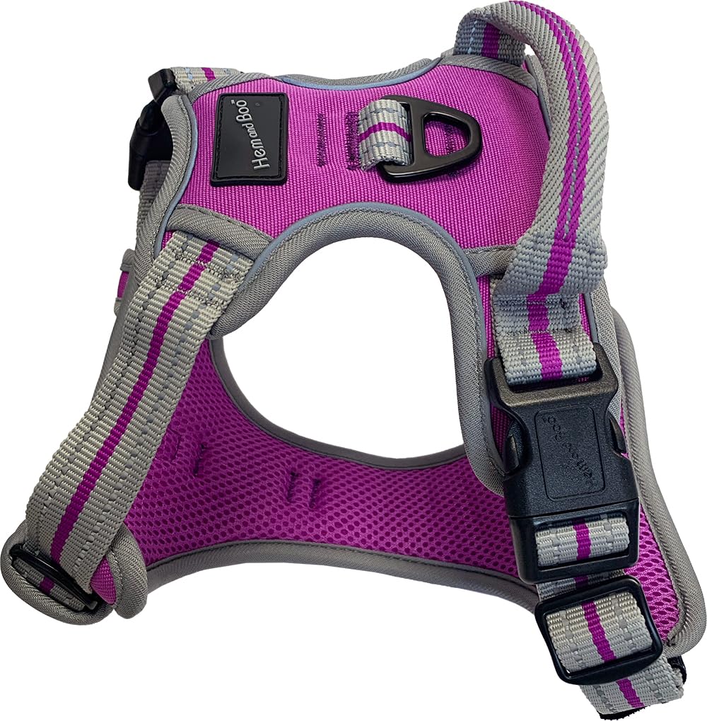 Dog & Co Sports Harness, Padded and Reflective, Purple Extra Large