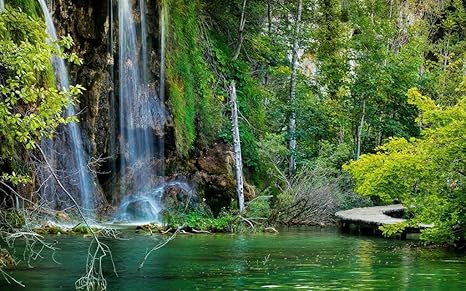 Amazon Co Jp クロアチア プリトヴィッツェ湖群国立公園 滝 森 湖 キャンバスの 写真 ポスター 印刷 旅行 風景 景色 60cmx40cm ホーム キッチン