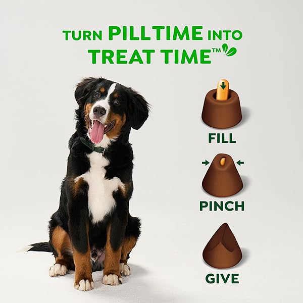 GREENIES PILL POCKETS FOR DOGS LARGE SIZE, DOG TREAT POUCH FOR CAPSULE MEDICATION, HICKORY SMOKE FLAVOR, 7.9 OZ. POUCH